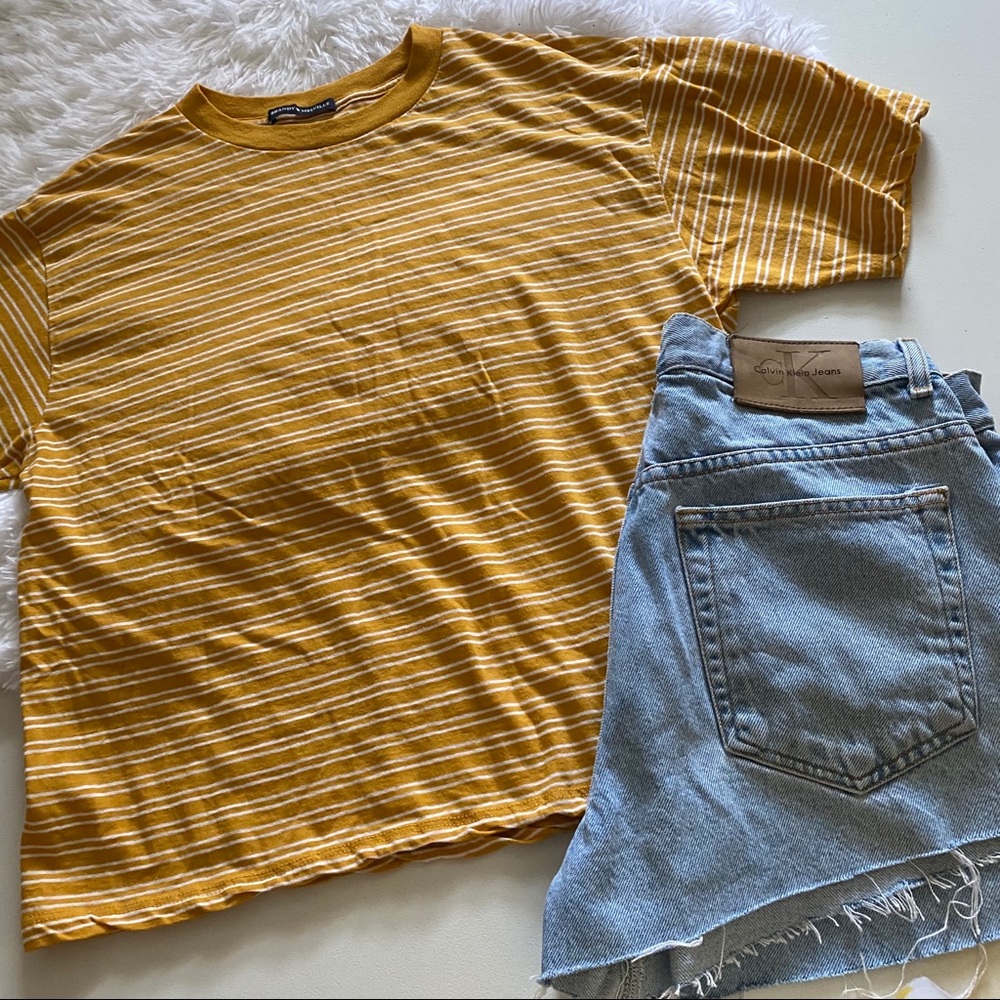 Brandy Melville Yellow Striped 70s Style Crop Top